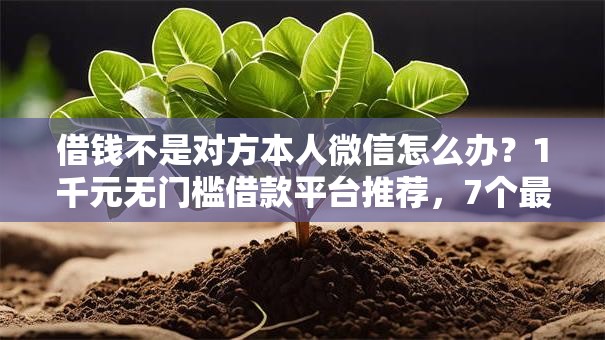 借钱不是对方本人微信怎么办？1千元无门槛借款平台推荐，7个最快下款的贷款平台盘点