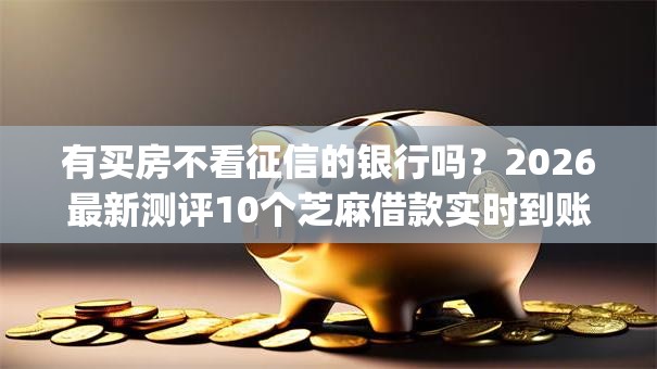 有买房不看征信的银行吗？2026最新测评10个芝麻借款实时到账速借app