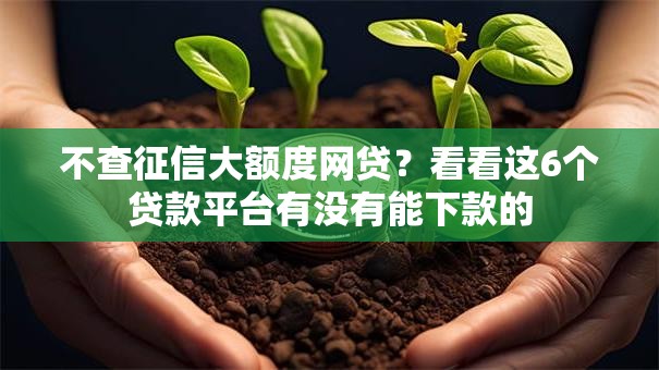 不查征信大额度网贷?看看这6个贷款平台有没有能下款的 不查征信大额度网贷?看看这6个贷款平台有没有能下款的