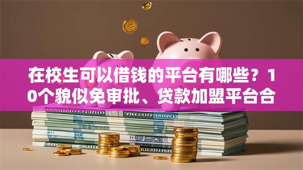 在校生可以借钱的平台有哪些？10个貌似免审批、贷款加盟平台合集