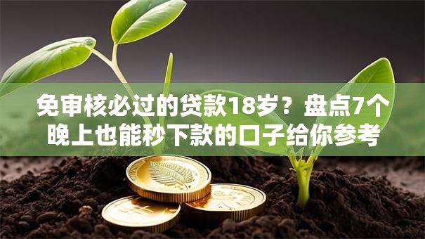 免审核必过的贷款18岁？盘点7个晚上也能秒下款的口子给你参考