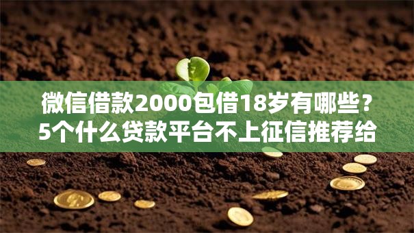 微信借款2000包借18岁有哪些？5个什么贷款平台不上征信推荐给你