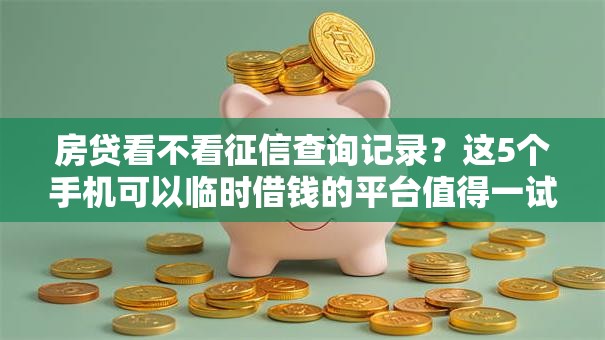 房贷看不看征信查询记录？这5个手机可以临时借钱的平台值得一试