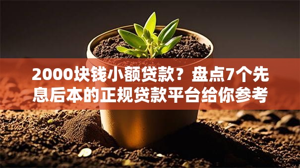 2000块钱小额贷款？盘点7个先息后本的正规贷款平台给你参考