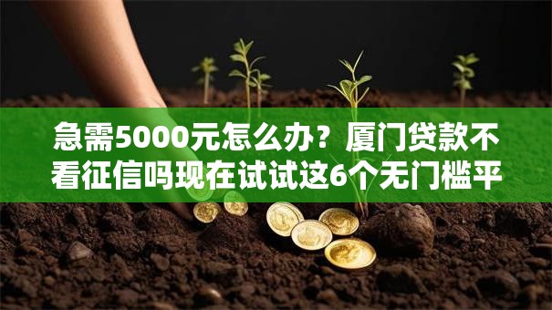 急需5000元怎么办？厦门贷款不看征信吗现在试试这6个无门槛平台