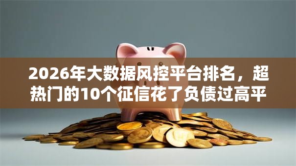2026年大数据风控平台排名，超热门的10个征信花了负债过高平台可以贷款推荐