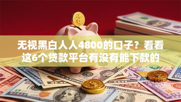 无视黑白人人4800的口子？看看这6个贷款平台有没有能下款的