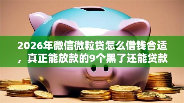 2026年微信微粒贷怎么借钱合适，真正能放款的9个黑了还能贷款平台推荐