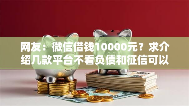 网友：微信借钱10000元？求介绍几款平台不看负债和征信可以借到钱