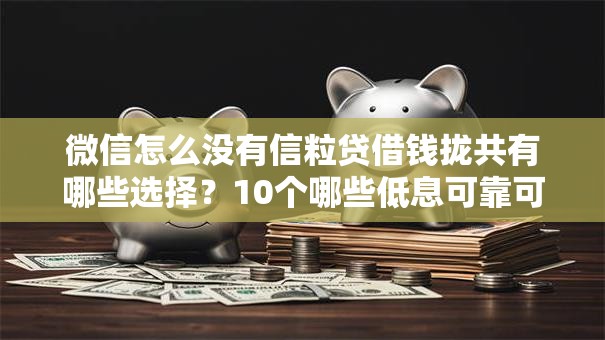 微信怎么没有信粒贷借钱拢共有哪些选择？10个哪些低息可靠可以分12期以上的借款平台详解