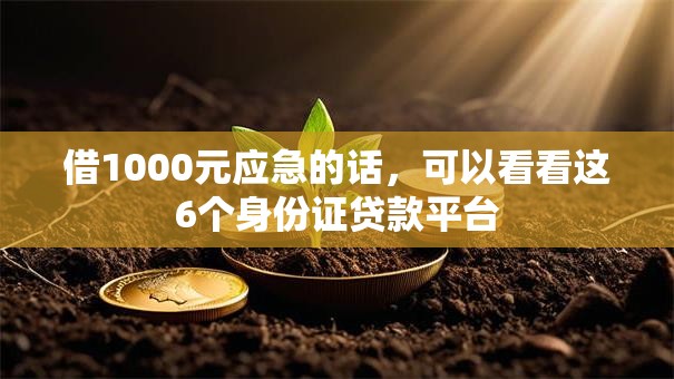 借1000元应急的话，可以看看这6个身份证贷款平台