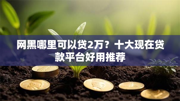 网黑哪里可以贷2万？十大现在贷款平台好用推荐
