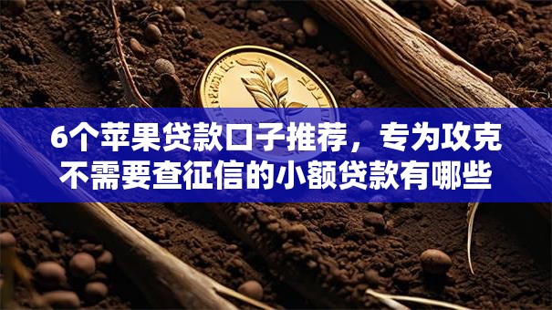 6个苹果贷款口子推荐，专为攻克不需要查征信的小额贷款有哪些难题