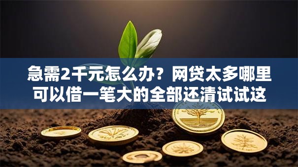 急需2千元怎么办？网贷太多哪里可以借一笔大的全部还清试试这7个无门槛平台