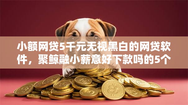 小额网贷5千元无视黑白的网贷软件，聚鲸融小薪意好下款吗的5个平台介绍