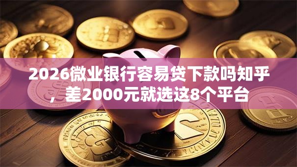 2026微业银行容易贷下款吗知乎，差2000元就选这8个平台