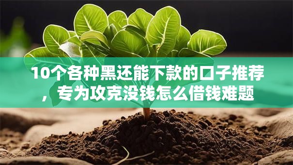 10个各种黑还能下款的口子推荐，专为攻克没钱怎么借钱难题