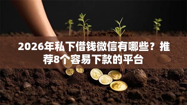 2026年私下借钱微信有哪些？推荐8个容易下款的平台