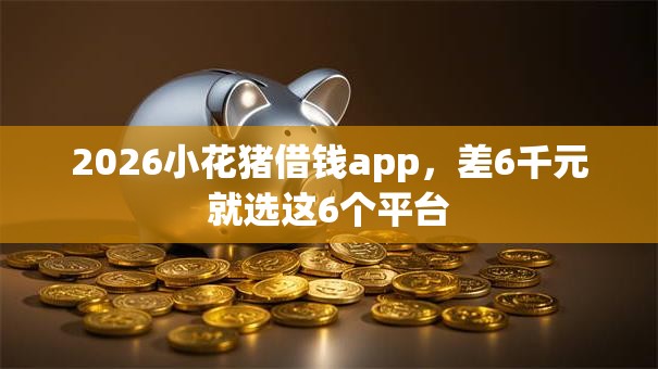 2026小花猪借钱app，差6千元就选这6个平台