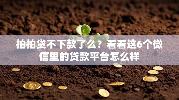 拍拍贷不下款了么？看看这6个微信里的贷款平台怎么样