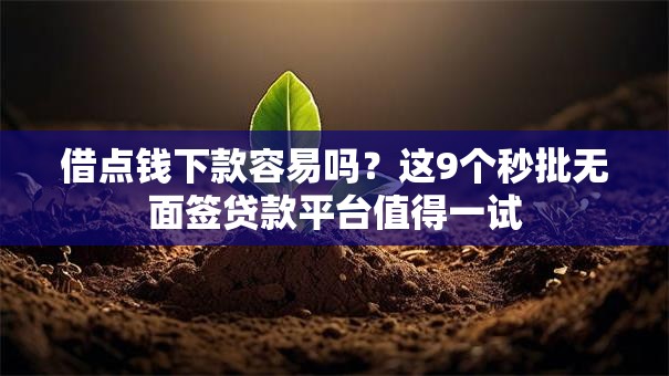 借点钱下款容易吗？这9个秒批无面签贷款平台值得一试