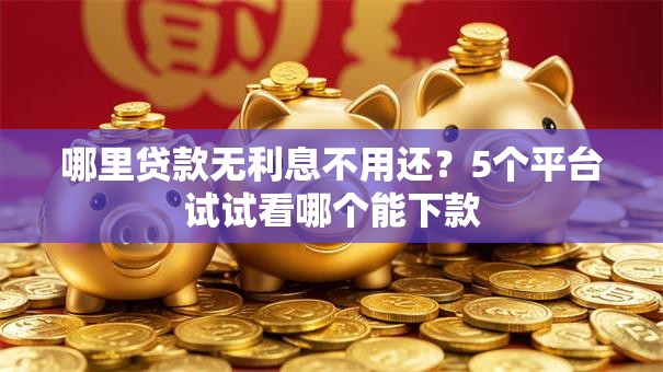 哪里贷款无利息不用还？5个平台试试看哪个能下款