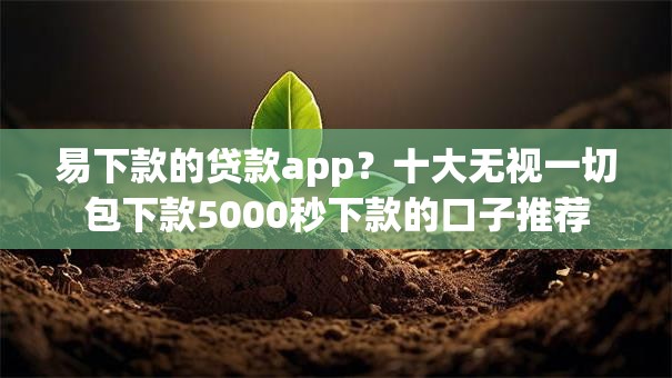易下款的贷款app？十大无视一切包下款5000秒下款的口子推荐