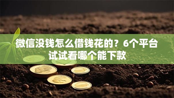 微信没钱怎么借钱花的？6个平台试试看哪个能下款