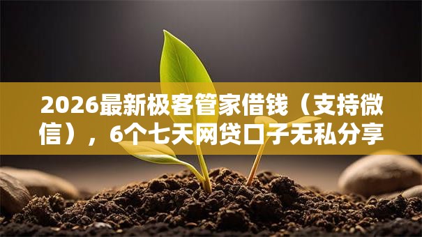 2026最新极客管家借钱（支持微信），6个七天网贷口子无私分享