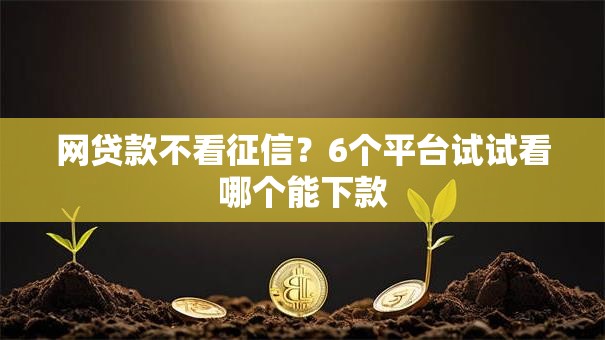 网贷款不看征信？6个平台试试看哪个能下款