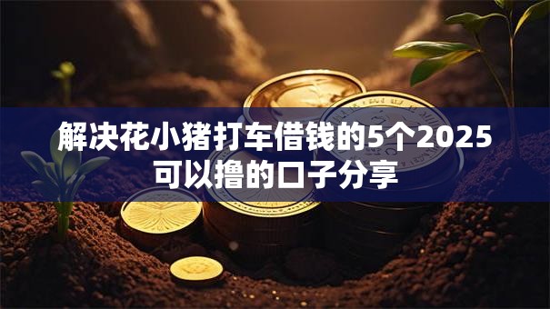 解决花小猪打车借钱的5个2025可以撸的口子分享