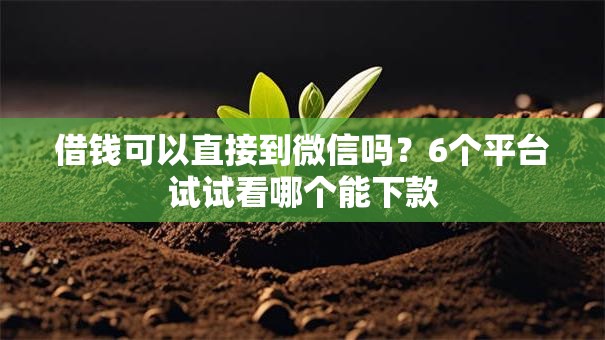 借钱可以直接到微信吗？6个平台试试看哪个能下款
