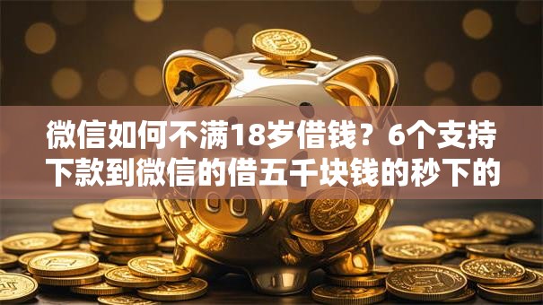 微信如何不满18岁借钱？6个支持下款到微信的借五千块钱的秒下的贷款平台