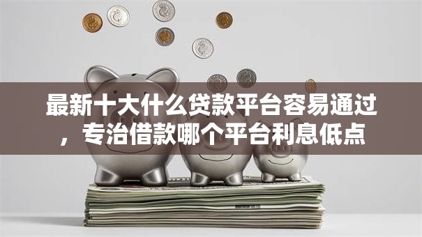 最新十大什么贷款平台容易通过，专治借款哪个平台利息低点
