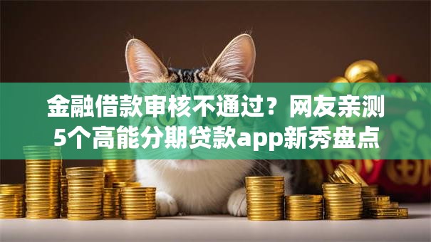 金融借款审核不通过？网友亲测5个高能分期贷款app新秀盘点