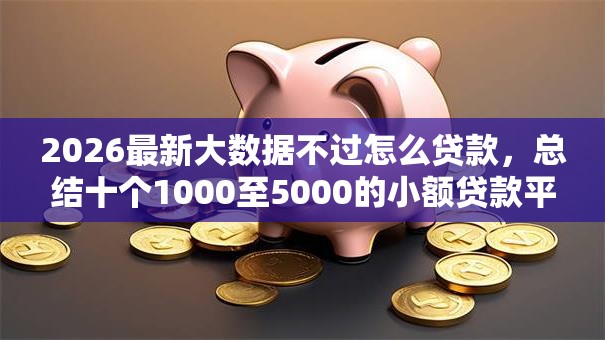 2026最新大数据不过怎么贷款，总结十个1000至5000的小额贷款平台！
