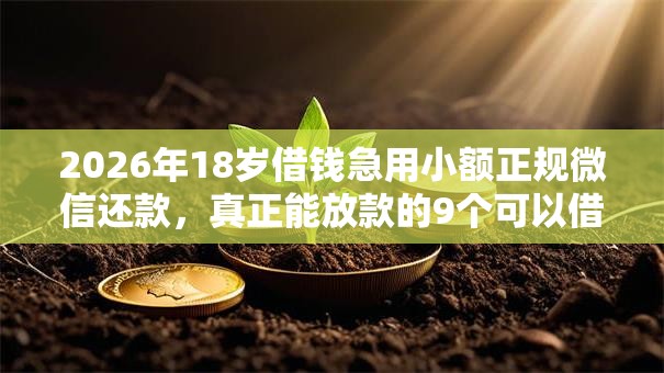 2026年18岁借钱急用小额正规微信还款，真正能放款的9个可以借钱的平台推荐