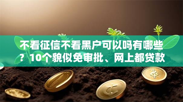不看征信不看黑户可以吗有哪些？10个貌似免审批、网上都贷款平台合集