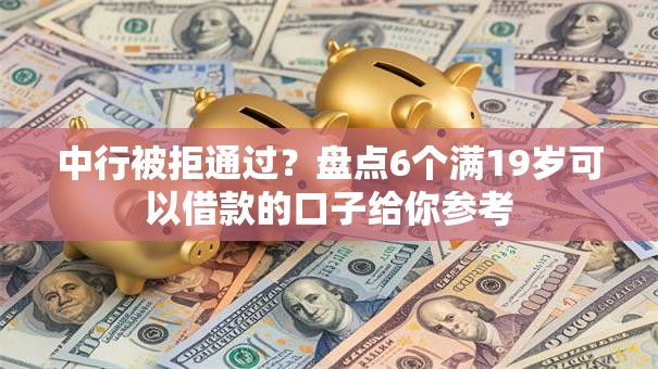 中行被拒通过？盘点6个满19岁可以借款的口子给你参考