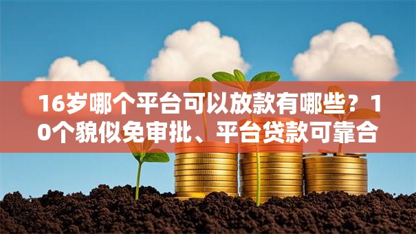 16岁哪个平台可以放款有哪些？10个貌似免审批、平台贷款可靠合集