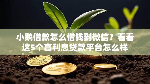 小鹅借款怎么借钱到微信？看看这5个高利息贷款平台怎么样