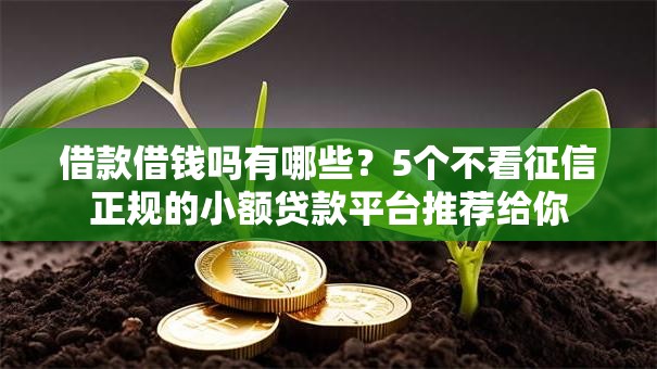 借款借钱吗有哪些？5个不看征信正规的小额贷款平台推荐给你