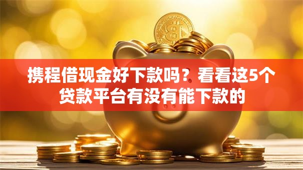 携程借现金好下款吗？看看这5个贷款平台有没有能下款的