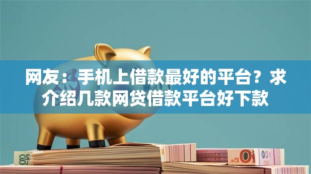 网友：手机上借款最好的平台？求介绍几款网贷借款平台好下款