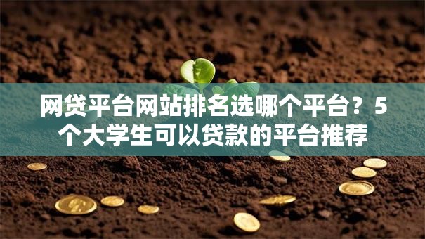 网贷平台网站排名选哪个平台？5个大学生可以贷款的平台推荐