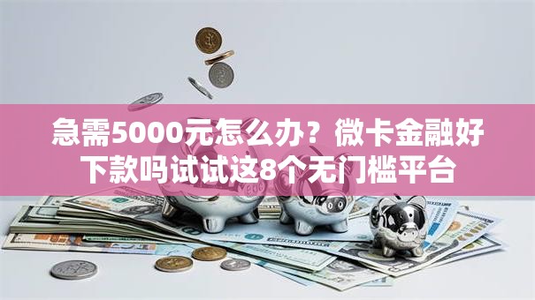 急需5000元怎么办？微卡金融好下款吗试试这8个无门槛平台