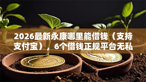 2026最新永康哪里能借钱（支持支付宝），6个借钱正规平台无私分享
