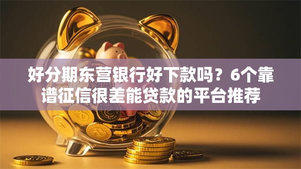 好分期东营银行好下款吗？6个靠谱征信很差能贷款的平台推荐