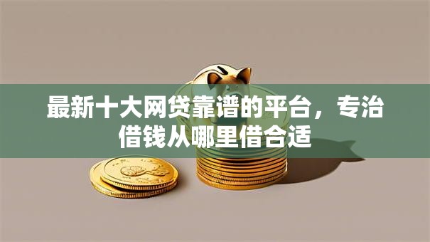 最新十大网贷靠谱的平台，专治借钱从哪里借合适