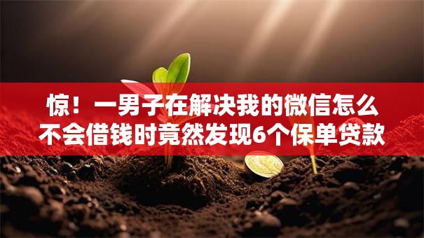 惊！一男子在解决我的微信怎么不会借钱时竟然发现6个保单贷款平台，事后分享了出来